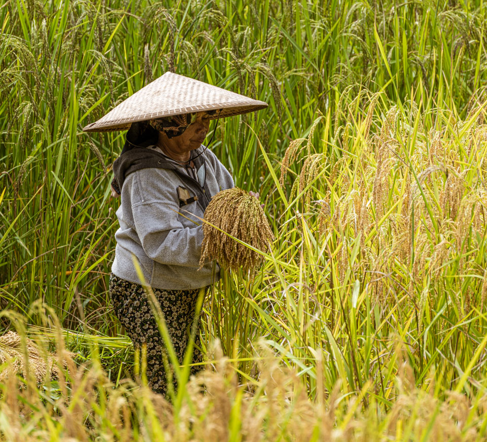 Travel Image