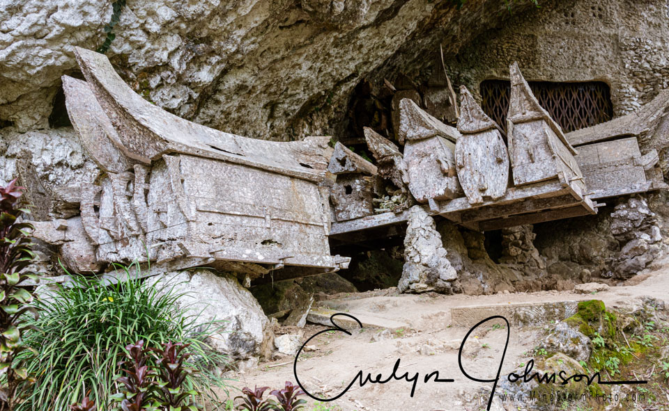 Travel Image