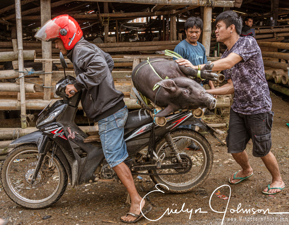 Travel Image