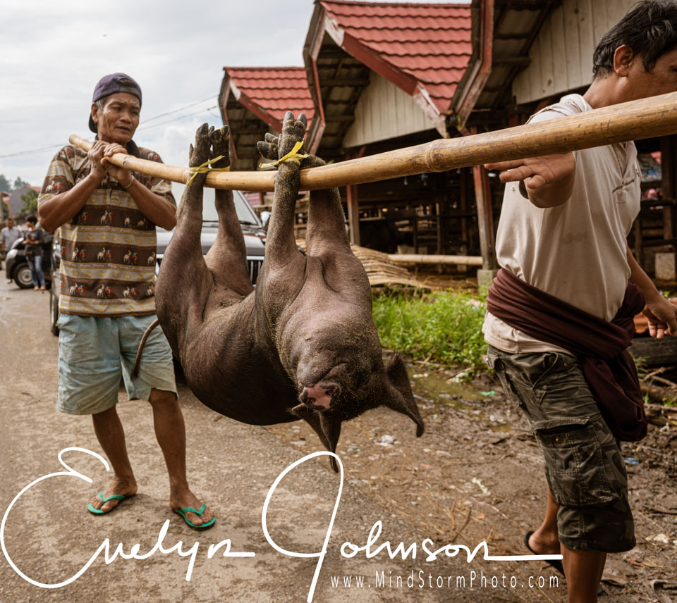 Travel Image