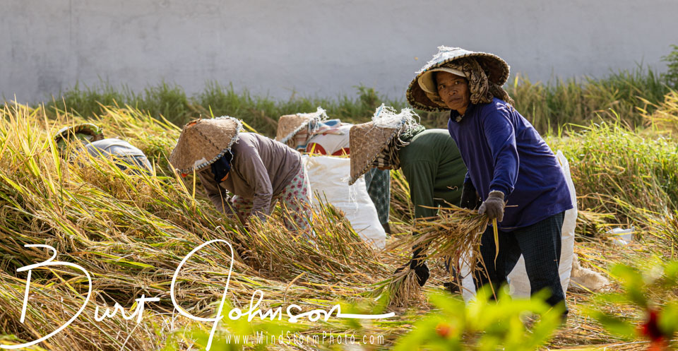 Travel Image