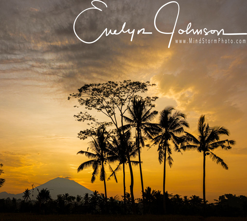 Travel Image