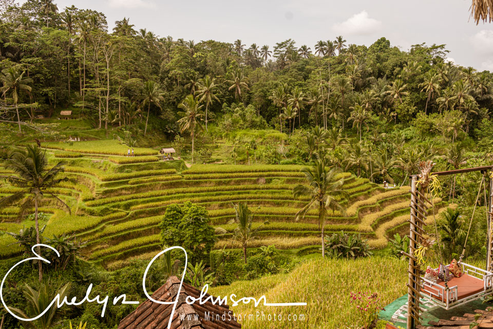 Travel Image