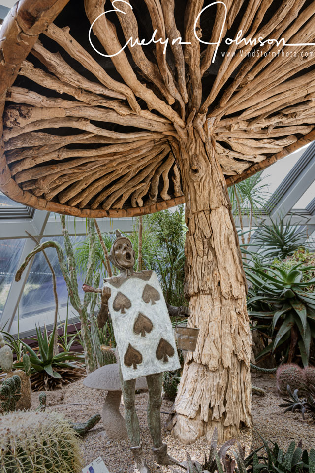 Travel Image