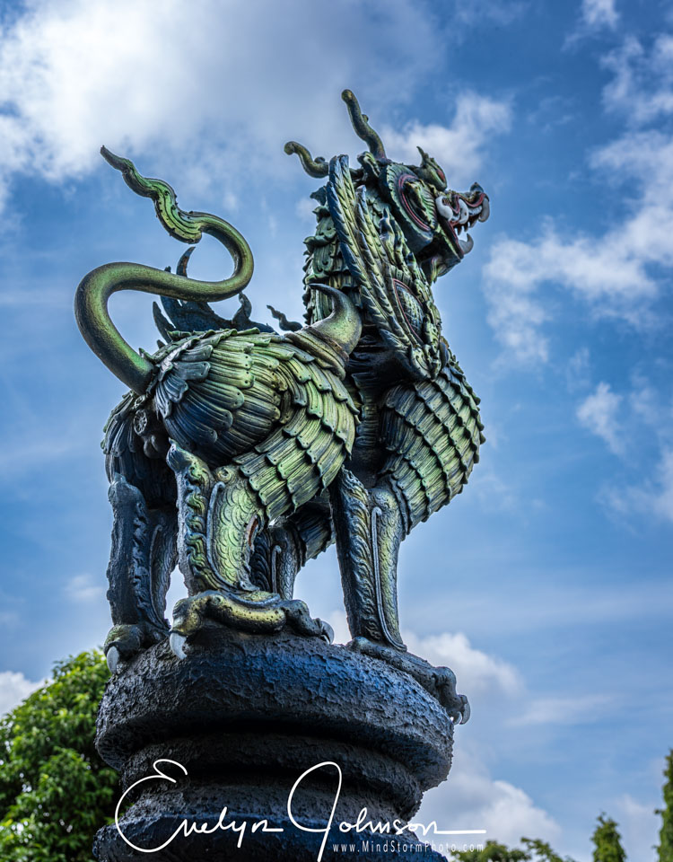 Travel Image