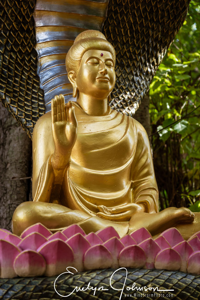 Travel Image
