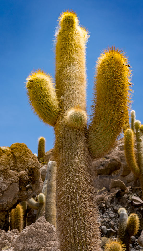 Travel Image
