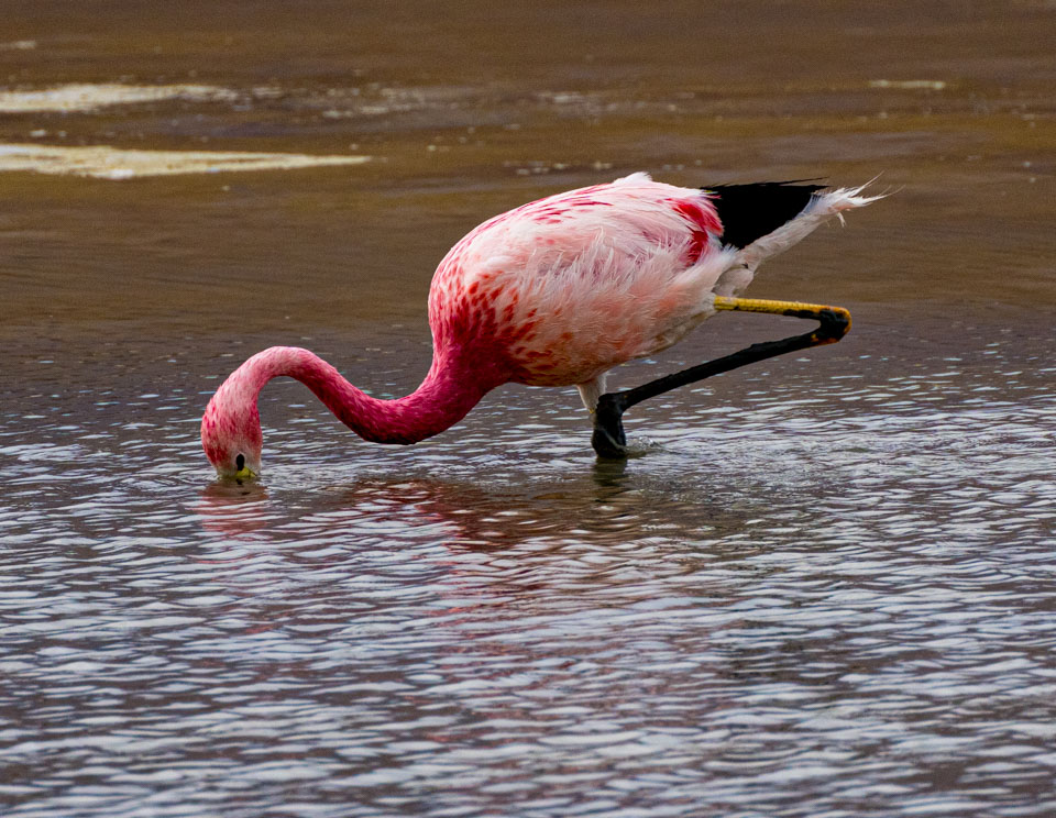 Travel Image