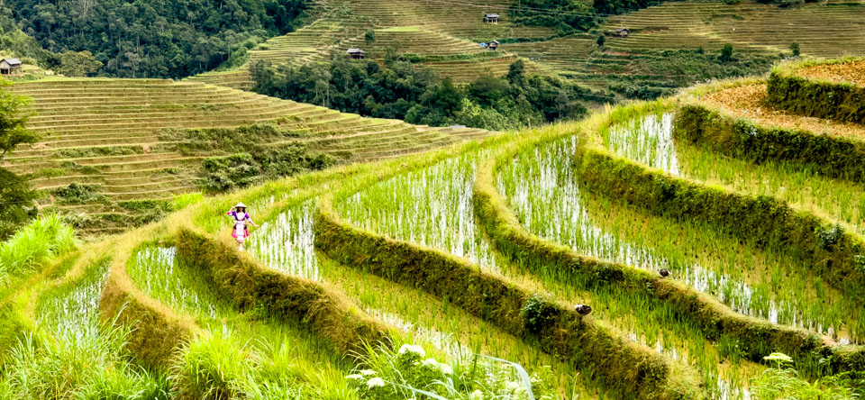 Travel Image