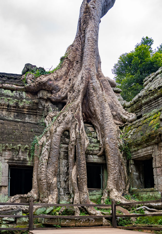 Travel Image