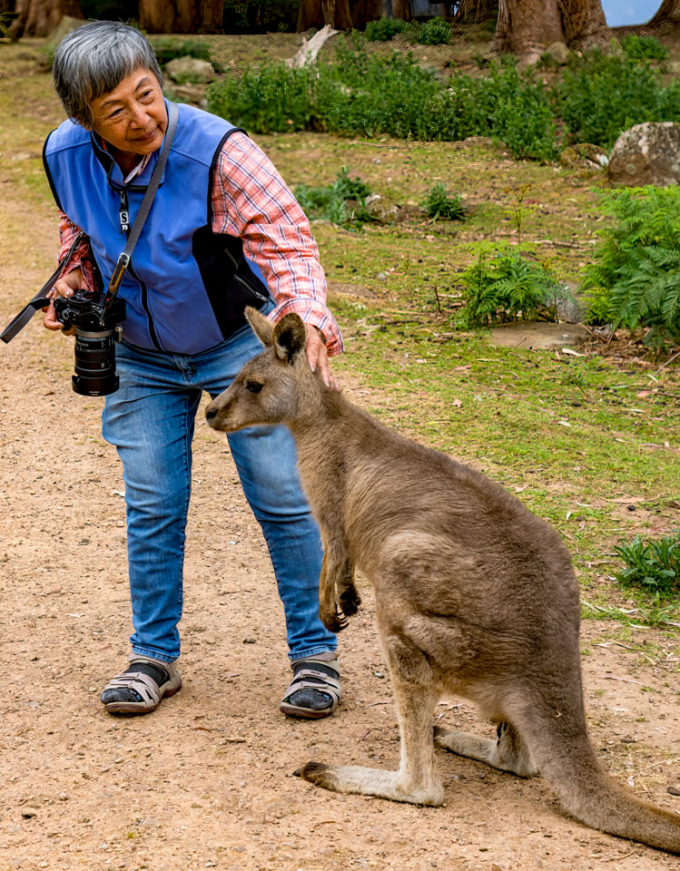 Travel Image