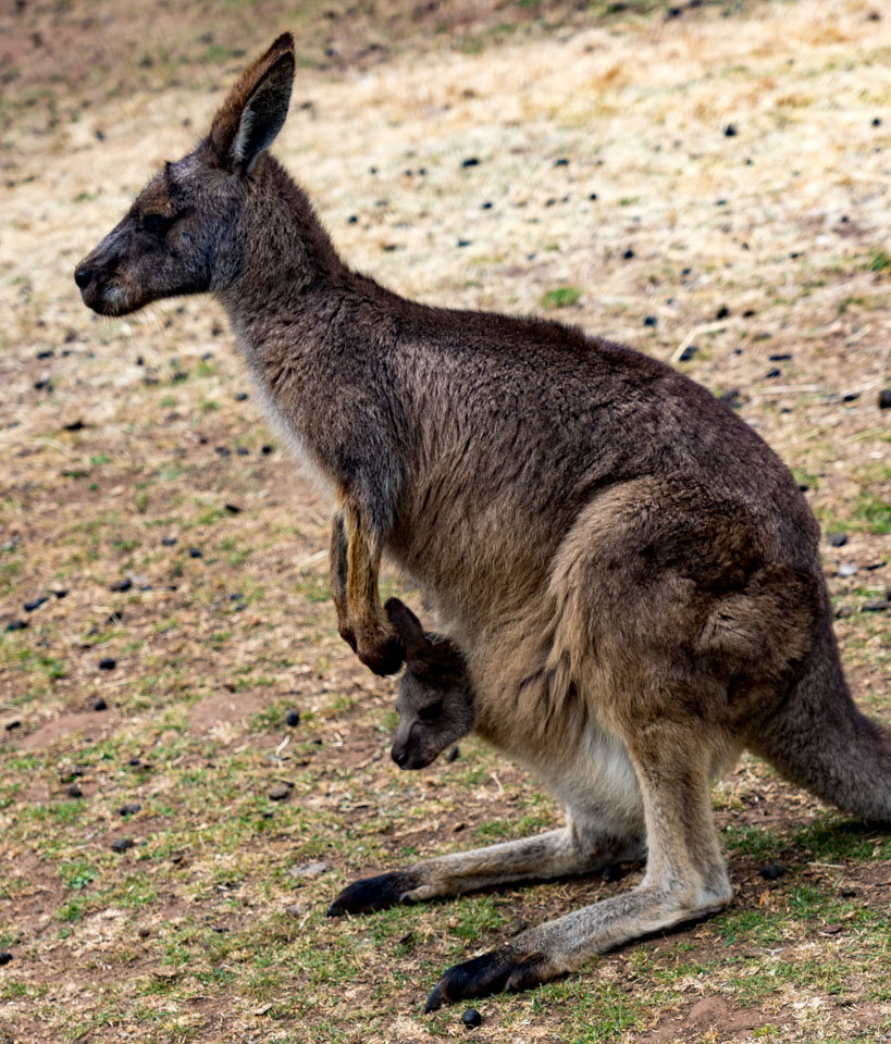 Travel Image
