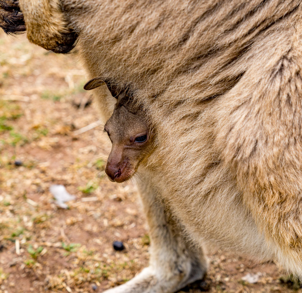 Travel Image