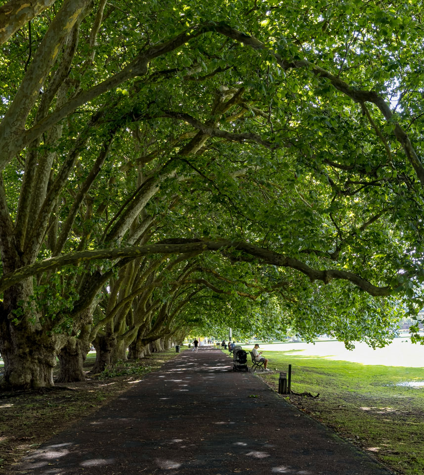 Travel Image