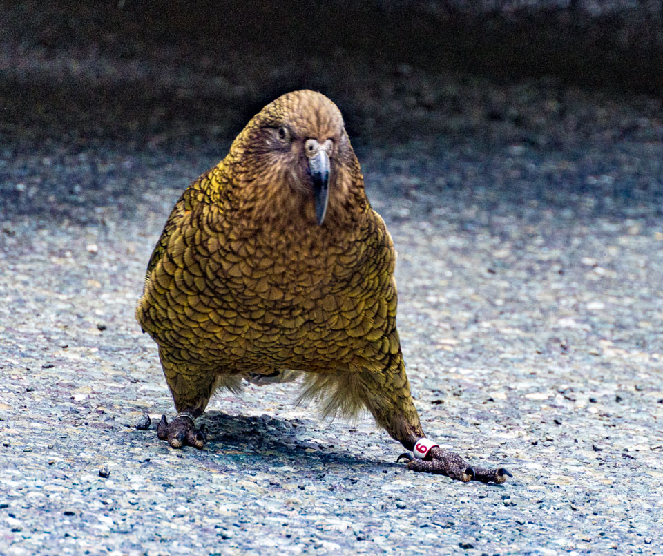 Travel Image