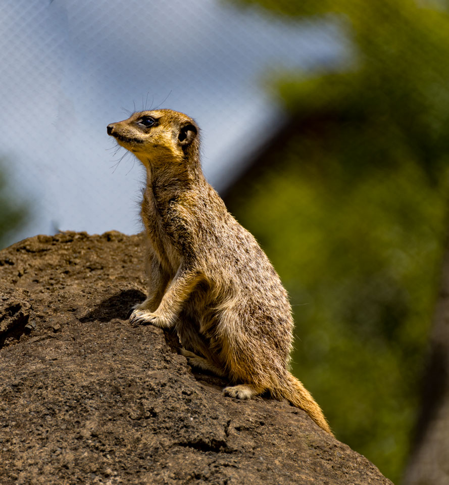 Travel Image