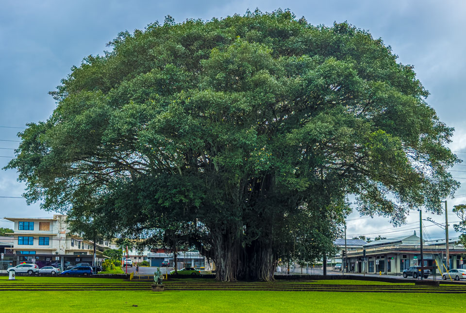 Travel Image
